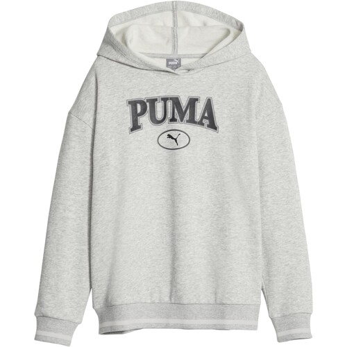 Textil Rapariga Sweats Puma lifestyle 219652 Cinza