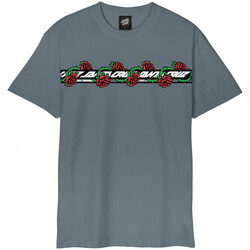 Textil Homem T-shirts e Pólos Santa Cruz Dressen roses ever-slick Cinza