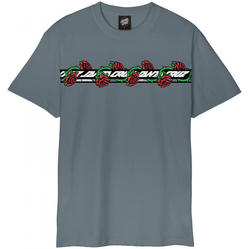 Textil Homem Para encontrar de volta os seus favoritos numa próxima visita Santa Cruz Dressen roses ever-slick Cinza