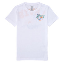 Te7-5 Rapaz T-Shirt mangas curtas Levi's SCENIC SUMMER TEE Multicolor / Branco