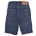 Textil Rapaz Shorts / Bermudas Levi's SLIM FIT LT WT ECO SHORTS Ganga