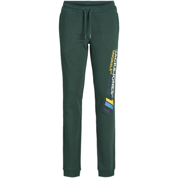 Textil Rapaz Calças Joggings & roupas de treino 12217064 JPSTNATE SWEAT PANTS JNR TREKKING GREEN Verde