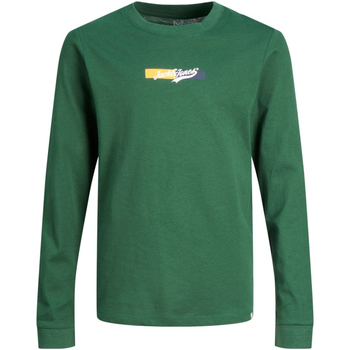 Textil Rapaz T-shirt mangas compridas Sweatshirt Essential Vertical Logo 12220947 JORBECKS TEE LS JNR TREKKING GREEN Verde