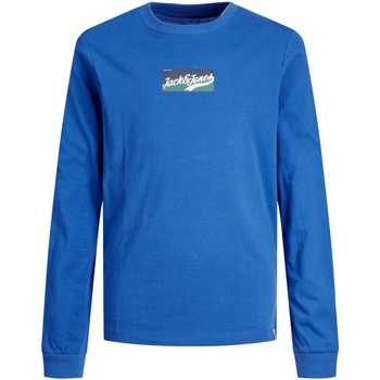 Textil Rapaz T-shirt mangas compridas Add DKNY Grey And White Logo Sweatshirt to your favourites 12220947 JORBECKS TEE LS JNR NAUTICAL BLUE Azul