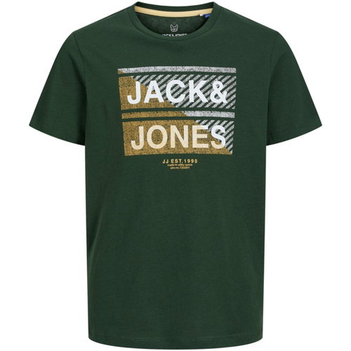 Textil Rapaz T-Shirt McCall mangas curtas Jack & Jones 12237032 JJKAIN TEE SS CREW NECK JNR MOUNTAIN VIEW Verde