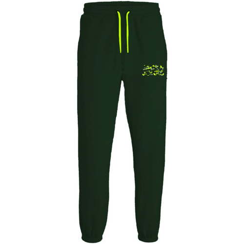 Textil Rapaz Calças Jack & Jones 12237173 JPSTGORDON JJMILES SWEAT PANT JNR MOUNTAIN VIEW Verde