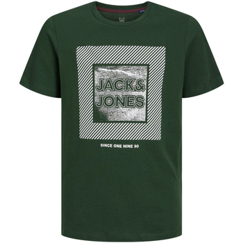 Textil Rapaz T-Shirt mangas curtas Jack & Jones 12237030 JJSTEIN TEE SS CREW NECK JNR MOUNTAIN VIEW Verde