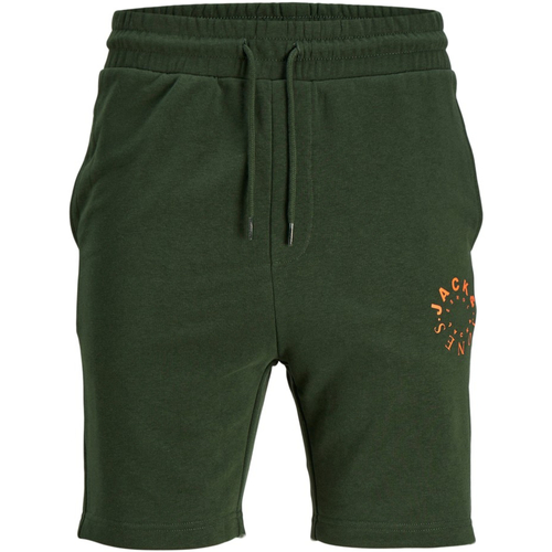 Textil Homem Shorts / Bermudas Saco de desporto 12243359 JPSTWARRIOR SWEAT SHORTS IM PLS MOUNTAIN VIEW Verde