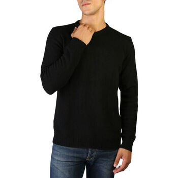 Textil Homem camisolas 100% Cashmere Jersey Preto
