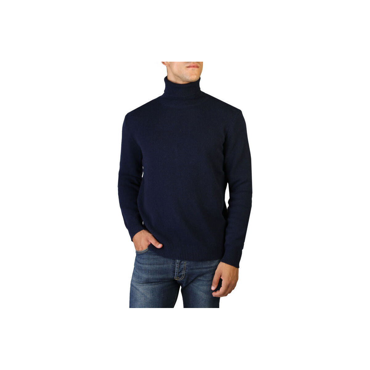 Textil Homem camisolas 100% Cashmere Jersey roll neck Azul