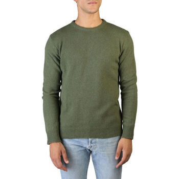 Textil Homem camisolas 100% Cashmere Jersey Verde