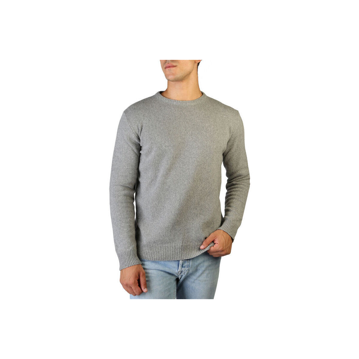 Textil Homem camisolas 100% Cashmere Jersey Cinza