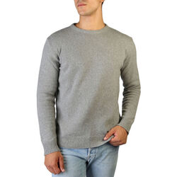 Textil Homem camisolas 100% Cashmere Jersey Cinza
