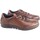 Sapatos Homem Multi-desportos Baerchi Sapato masculino  5323 marrom Castanho