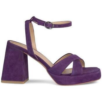 Sapatos Mulher Escarpim A seleção acolhedora I23155 Violeta