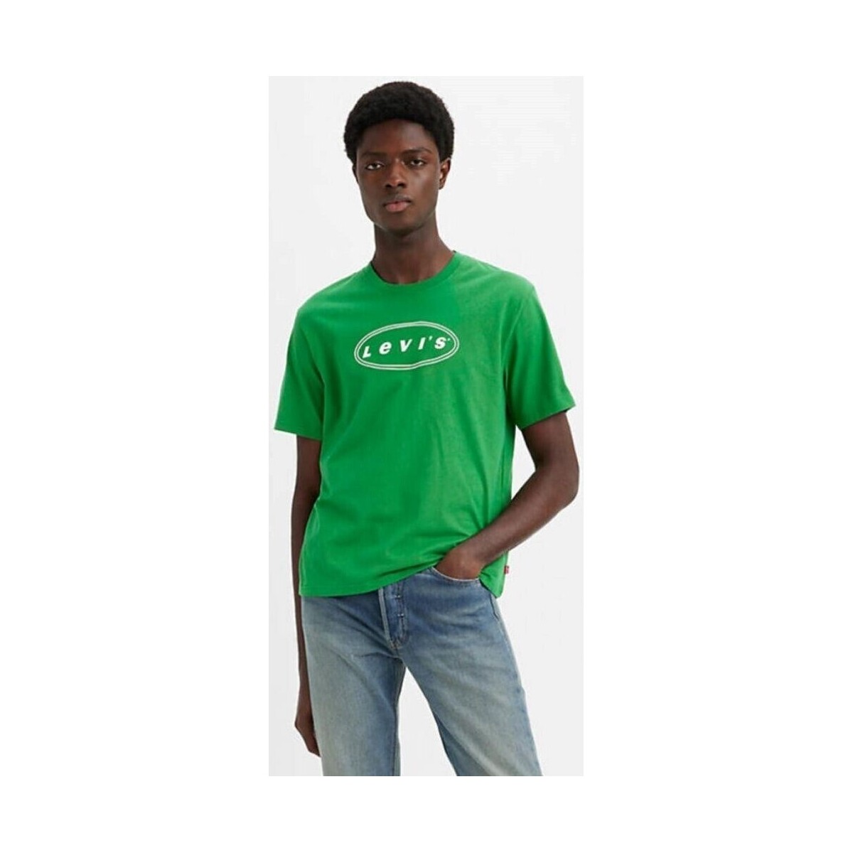 Textil Homem T-Shirt mangas curtas Levi's 16143 1059 SS RELAXED FIT TEE Verde