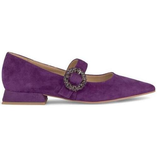 Sapatos Mulher Sapatos & Richelieu Alma En Pena I23115 Violeta