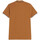 Textil Homem T-shirts e Pólos TBS  Castanho