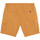 Textil Homem Shorts / Bermudas TBS  Castanho
