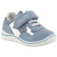 Sapatos Criança Sapatilhas Primigi Scamretesnaparti Azul