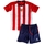 Textil Rapaz Pijamas / Camisas de dormir Atletico De Madrid AM02522C Vermelho
