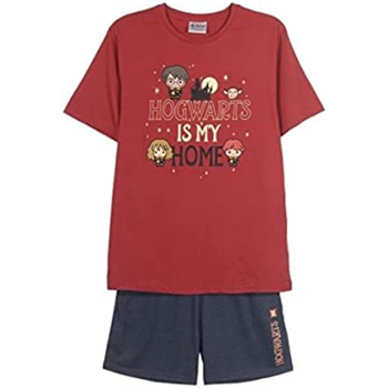 Textil Homem Pijamas / Camisas de dormir Harry Potter 2200009100 Vermelho