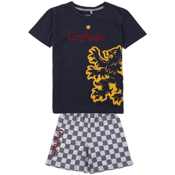 Textil Rapaz Pijamas / Camisas de dormir Harry Potter 2200009252 Preto