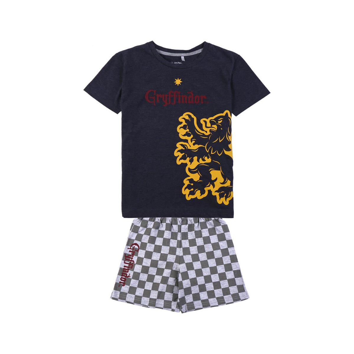 Textil Rapaz Pijamas / Camisas de dormir Harry Potter 2200009252 Preto