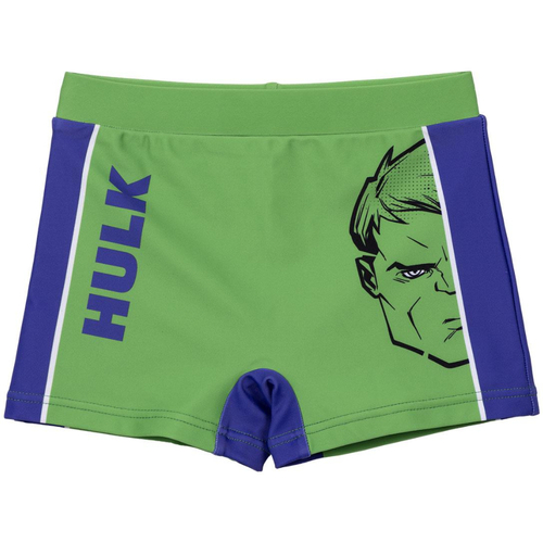 Textil Rapaz Toalha de praia Hulk 2900001258 Verde