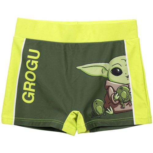 Textil Rapaz Fatos e Ben shorts de banho Hulk 2900001323 Verde