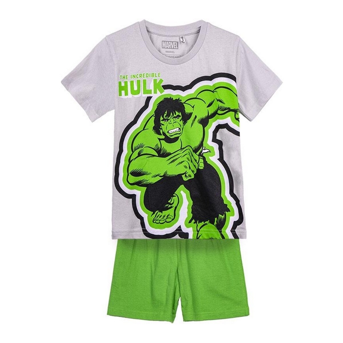 Textil Rapaz Pijamas / Camisas de dormir Hulk 2900001331B Cinza