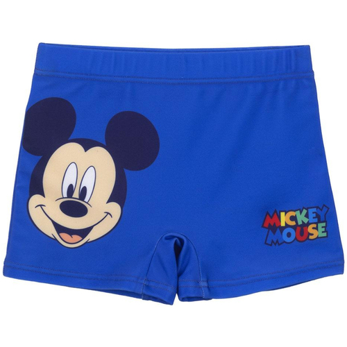 Textil Rapaz Sweats & Polares Disney 2200009228 Azul