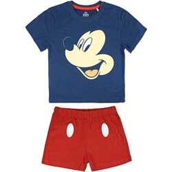 Textil Rapaz Pijamas / Camisas de dormir Disney 2200003457 Azul