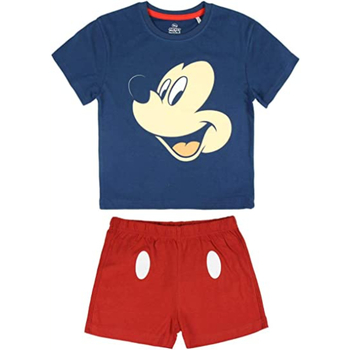 Textil Rapaz Pijamas / Camisas de dormir Disney 2200003457 Azul