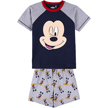 Textil Rapaz Pijamas / Camisas de dormir Disney 2200008873 Cinza