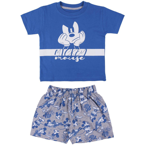 Textil Rapaz Pijamas / Camisas de dormir Disney 2200006964 Azul