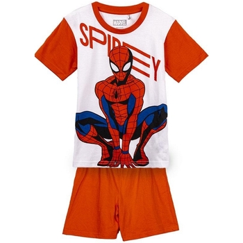 Textil Rapaz Pijamas / Camisas de dormir Marvel 2900001330B Vermelho