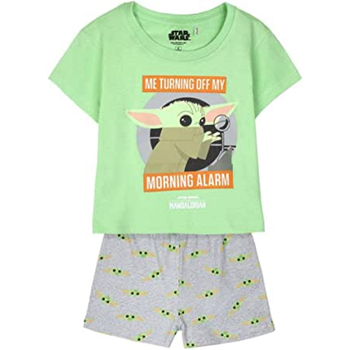 Textil Rapaz Pijamas / Camisas de dormir Disney 2200009091 Verde