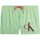 Textil Homem Shorts / Bermudas Calvin Klein Jeans KM0KM00801 Verde