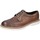 Sapatos Homem Sapatos & Richelieu Eveet EZ245 Castanho