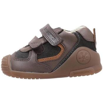 Sapatos Rapaz Sapatilhas Biomecanics 231123 B Castanho