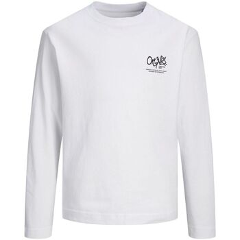 Textil Rapaz T-shirts e Pólos Descubra as nossas exclusividades 12242879 SILVERLAKE-BRIGHT WHITE Branco