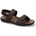 Sapatos Homem Sapatilhas de ténis Mephisto SIMON Castanho