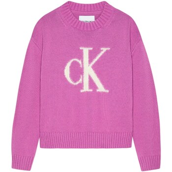 Textil Rapariga camisolas Calvin Klein Thermal Jeans IG0IG02220 Violeta