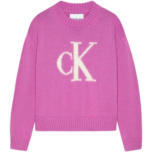 Textil Rapariga camisolas Calvin Klein Trim JEANS IG0IG02220 Violeta