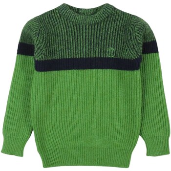 Textil Mulher camisolas Trussardi TIA23042MA Verde