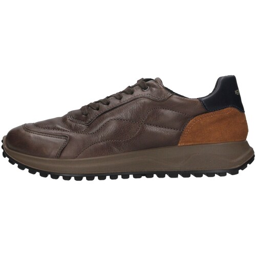 Sapatos Homem Sapatilhas IgI&CO 4640722 Castanho