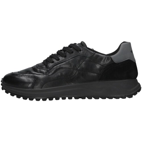 Sapatos Homem Sapatilhas IgI&CO 4640700 Preto