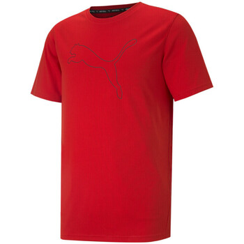 Textil Rapaz T-shirts e Pólos Puma  Vermelho