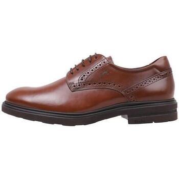 Sapatos Homem Sapatos & Richelieu Fluchos F0630 Castanho